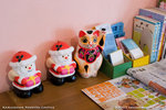 _MG_0157-2