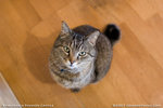 _MG_0176-2
