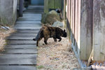 _MG_0949-2