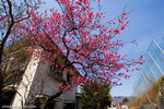 _MG_0266-2