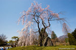 _MG_0272-2