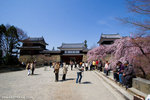 _MG_0280-2