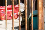 _MG_0392-2