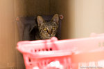 _MG_0397-2