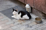 _MG_0404-2