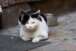 _MG_0405-2