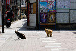 _MG_0408-2