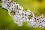 _MG_0638-2