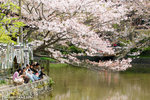 _MG_0649-2