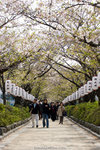 _MG_0681-2