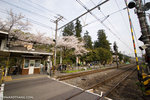 _MG_0695-2