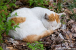 _MG_0792-2