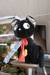 _MG_0608-2