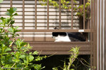 _MG_0758-2