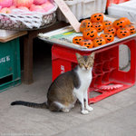 _MG_0287-2