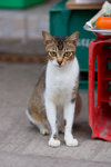_MG_0288-2