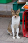 _MG_0289-2