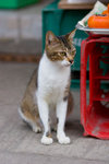 _MG_0291-2