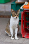 _MG_0292-2