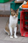_MG_0293-2