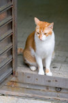 _MG_0295-2