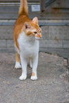 _MG_0297-2