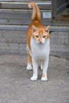 _MG_0299-2