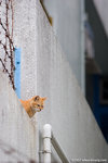 _MG_8280-2
