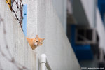 _MG_8282-2