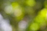 _MG_8311-2