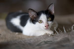 _MG_8343-2