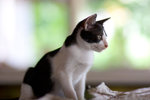 _MG_8345-2
