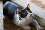 _MG_8352-2