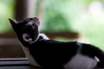 _MG_8363-2