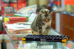 _MG_0319-2