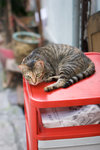 _MG_7632-2