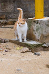 _MG_3334-2