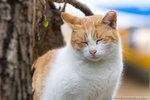 _MG_3348-2