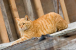 _MG_3362-2