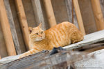 _MG_3363-2