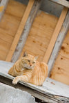 _MG_3366-2
