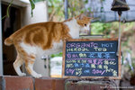 _MG_3496-2