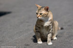 _MG_0145-2