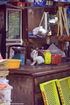 _MG_0146-2