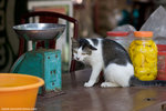 _MG_0147-2