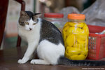 _MG_0149-2