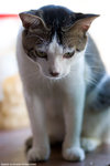 _MG_0150-2