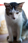 _MG_0151-2