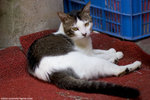 _MG_0152-2