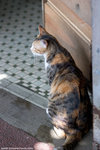 _MG_0156-2